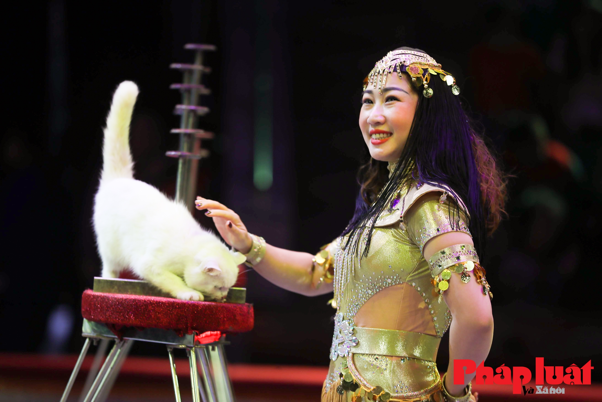 Đầu năm xem xiếc mèo Việt Nam -  