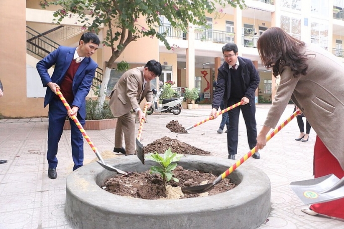 Trồng cây bàng vuông Trường Sa phát động ngày Tết trồng cây