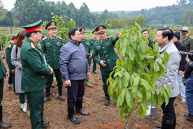 Thủ tướng cho rằng, việc trồng cây không chỉ bảo vệ cảnh quan môi trường và đa dạng sinh học mà còn mang lại nguồn lợi to lớn cho nước ta ở hiện tại và tương lai.