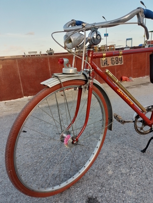 Chiếc xe đạp vẫn còn giữ được biển đăng ký theo xe. Theo lời ông Ngôn, ngày xưa, một chiếc xe đạp là cả một gia tài. Nếu xe đi ra đường mà không có biển số có thể bị cảnh sát bắt, phạt tù như chơi.