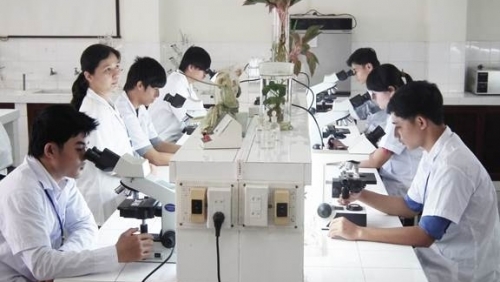 Hội đồng quản lý trong tổ chức khoa học và công nghệ công lập