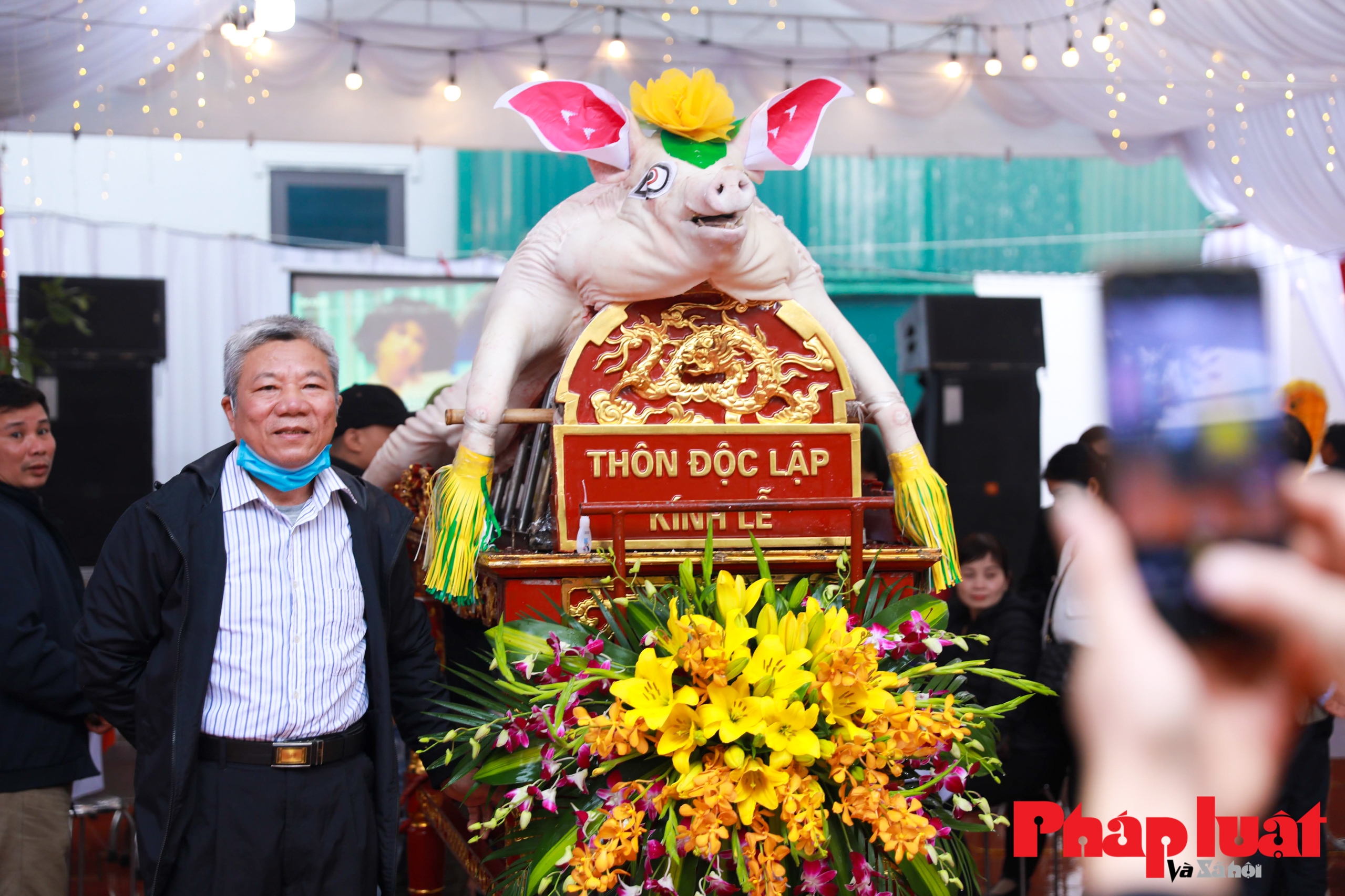 Hà Nội: Độc đáo lợn được trang điểm dự thi 