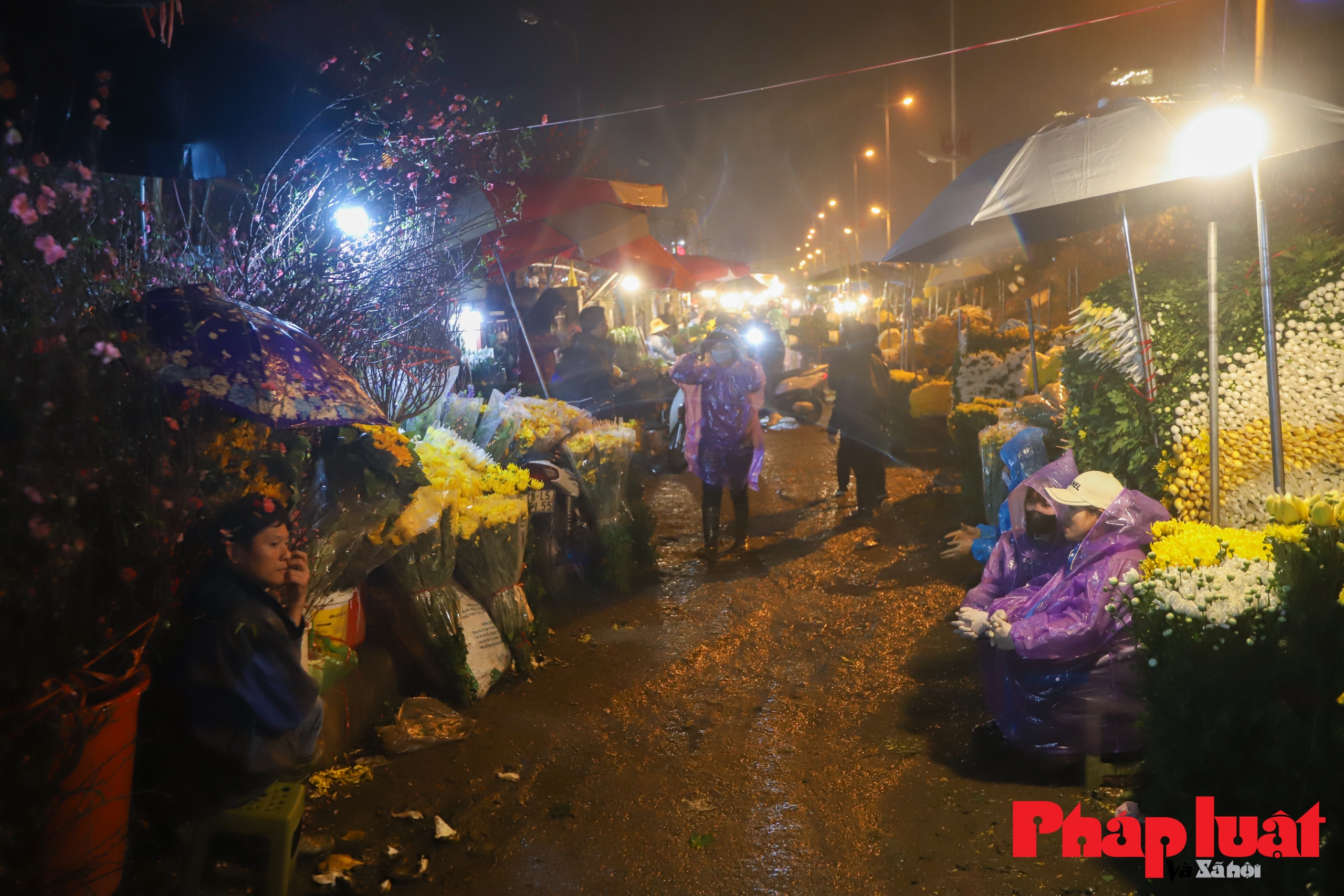 Chợ hoa Quảng An vắng khách trong đêm trước rằm tháng Giêng