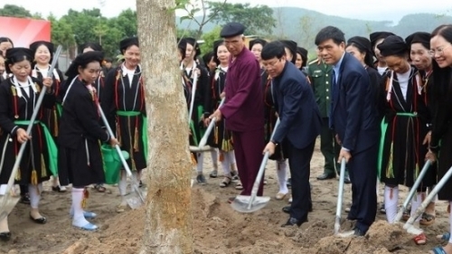 Vĩnh Phúc: Tích cực trồng cây xanh, thực hiện mục tiêu phát triển bền vững