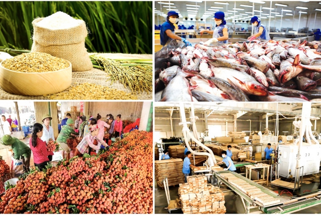Thúc đẩy giao thương nông sản, thực phẩm giữa Việt Nam - Trung Quốc