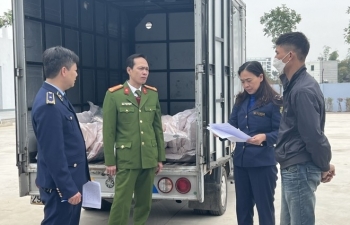 700kg nầm thối chuẩn bị lọt vào các nhà hàng tại Hà Nội thì bị phát hiện
