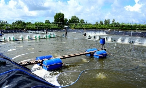 Hà Nội: Phát triển thủy sản theo hướng bền vững là xu thế tất yếu