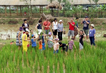Du lịch nông nghiệp, nông thôn ở Hà Nội vẫn thiếu tính chuyên nghiệp