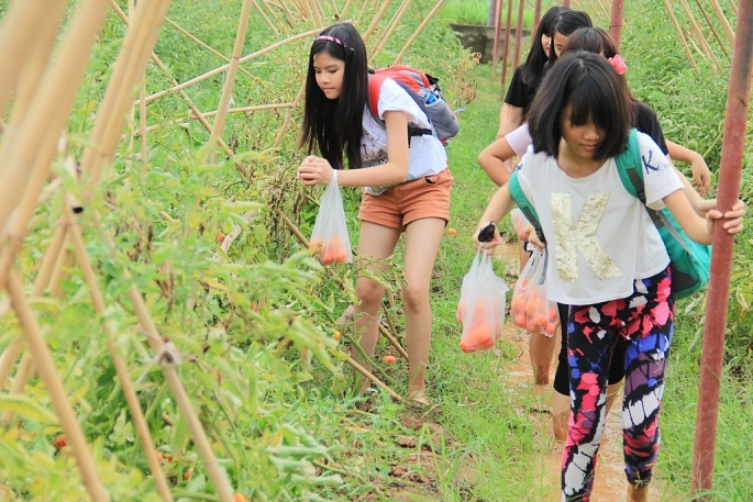 Du lịch nông nghiệp, nông thôn ở Hà Nội vẫn thiếu tính chuyên nghiệp