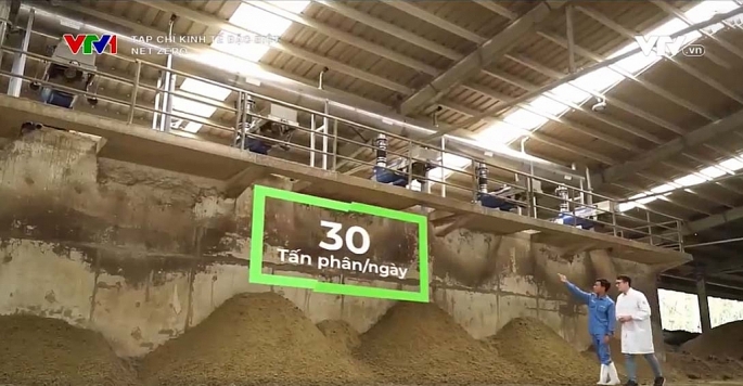 Chất thải đàn bò được xử lý thành phân bón cho đồng cỏ, hạn chế phát thải, mùi hôi, ruồi muỗi. (Nguồn: VTV Tạp chí Kinh tế Đặc biệt Net Zero)  