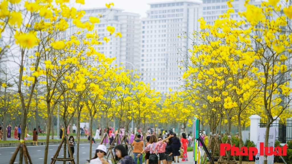 Hà Nội - mùa hoa bình yên