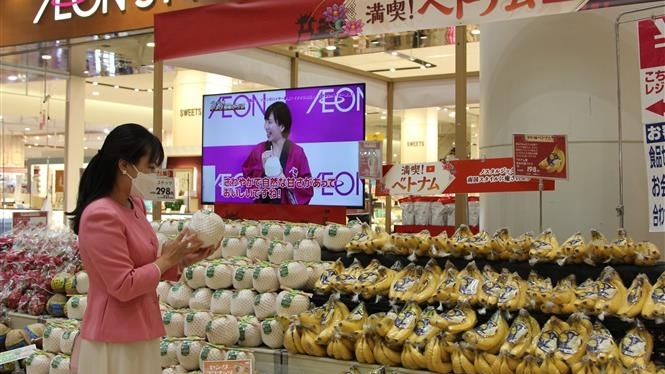 Tuyên truyền, nâng cao nhận thức, ý thức, trách nhiệm về công tác ngoại giao kinh tế