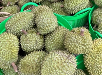 Việt Nam kỳ vọng xuất khẩu hoa quả tươi vào Hoa Kỳ