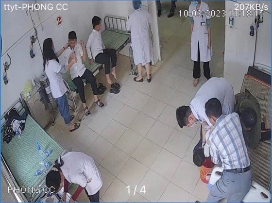 Hà Tĩnh: 11 học sinh bị ngộ độc do ăn hạt quả ngô đồng