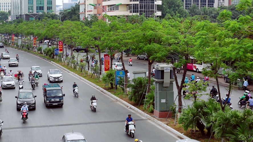 Hà Nội trồng mới 500.000 cây xanh đô thị gắn với các tiêu chí đô thị thông minh và hiện đại