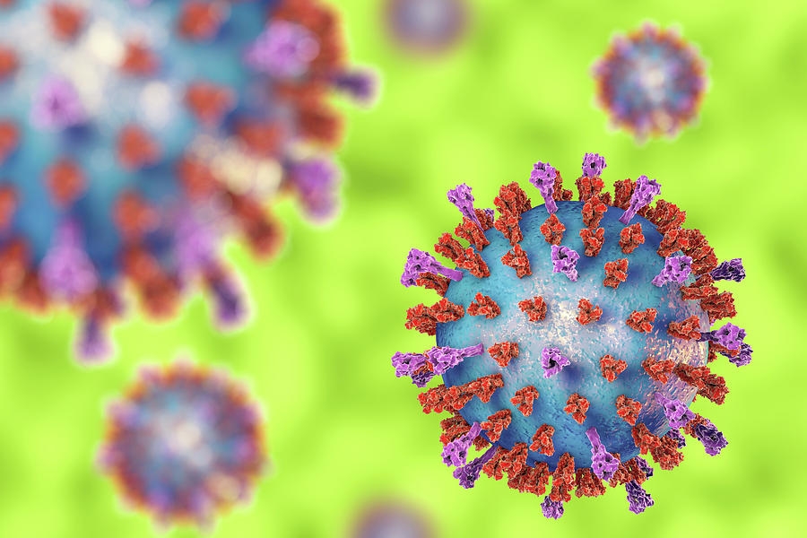 Gia tăng trẻ bị viêm phổi do nhiễm virus RSV