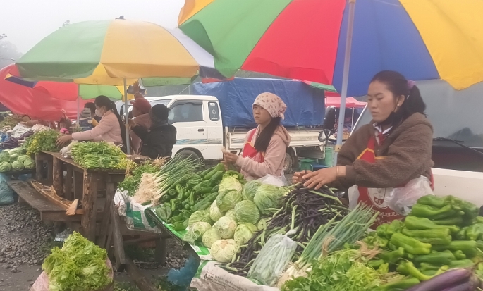 Về thực phẩm, phiên chợ này người dân Lào cung cấp lớn các thực phẩm như rau, củ, quả, thịt động vật