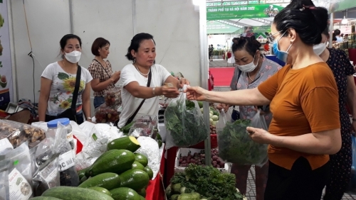 Hà Nội: Đẩy mạnh xây dựng vùng nông nghiệp hàng hóa an toàn gắn với mã số vùng trồng