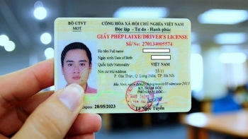 43 tài xế ở Nghệ An bị phát hiện sử dụng giấy phép lái xe giả