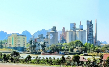 Tạm giam ông Nguyễn Việt Nga, Chủ tịch HĐQT Công ty Vicem Đà Nẵng