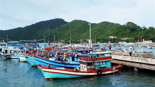 Sai phạm trong đăng kiểm phương tiện thuỷ nội địa, 2 cán bộ của Trung tâm Hải Hưng bị bắt