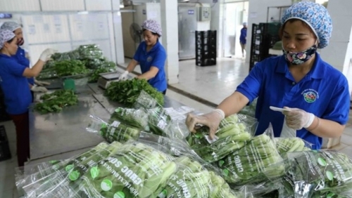 Hà Nội: Hình thành mối liên kết chặt chẽ sản xuất xanh - phân phối xanh - tiêu dùng xanh