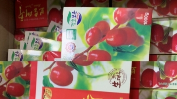 Hải Phòng: Khởi tố vụ án sản xuất, buôn bán thực phẩm giả nhãn mác Hàn Quốc