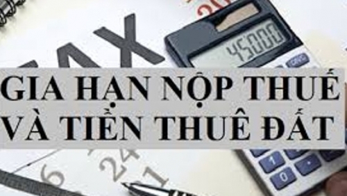 Quy định về gia hạn thời hạn nộp thuế và tiền thuê đất