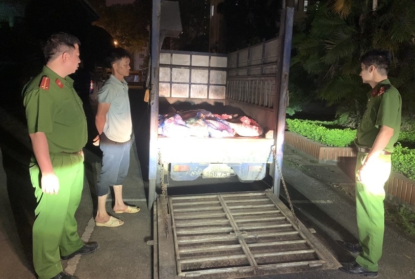 Vĩnh Phúc: Ngăn chặn vụ chở 1 tấn thịt lợn tím tái, bốc mùi đi tiêu thụ
