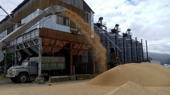 Kiev phản đối lệnh cấm nhập khẩu với ngũ cốc của Ukraine