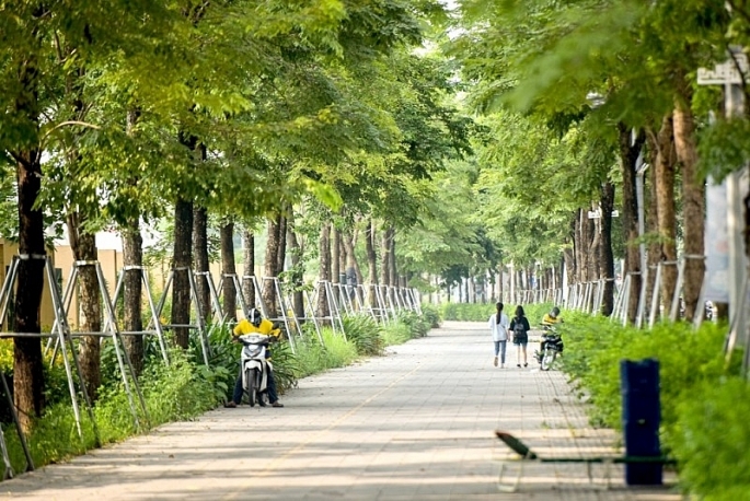 Để bảo đảm an toàn hệ thống cây xanh trong mùa mưa bão, TP Hà Nội tập trung lực lượng, chủ động rà soát, lên kế hoạch cắt tỉa cây bóng mát, vừa bảo đảm cảnh quan đô thị vừa phòng, chống thiên tai.