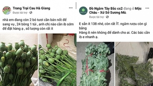 Hạt cần sa, anh túc chạy quảng cáo bán hàng trên facebook?