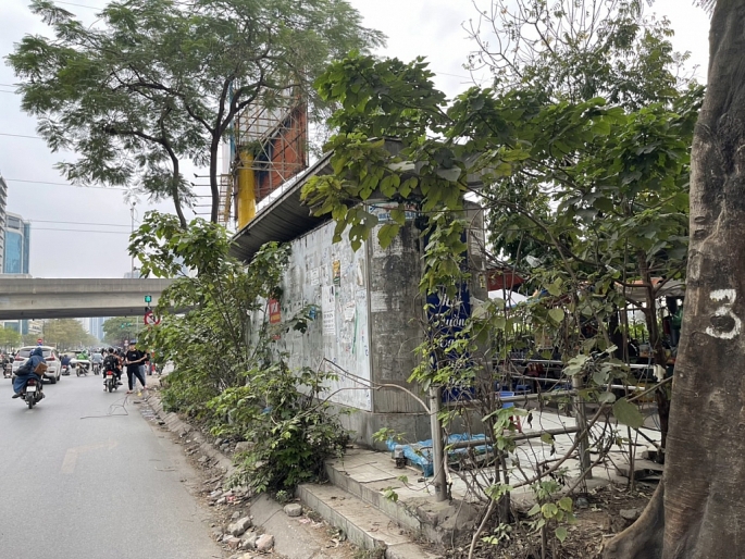 Cây cối mọc um tùm, che khuất nhà vệ sinh công cộng ở Hà Nội. Ảnh: An Nhiên