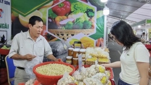 “Tuần hàng trái cây, nông sản Hà Nội” thu hút nhiều tỉnh, thành tham gia