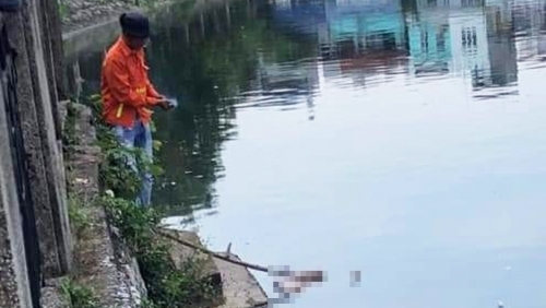Hải Phòng: Phát hiện thi thể người đàn ông nổi trên hồ An Biên