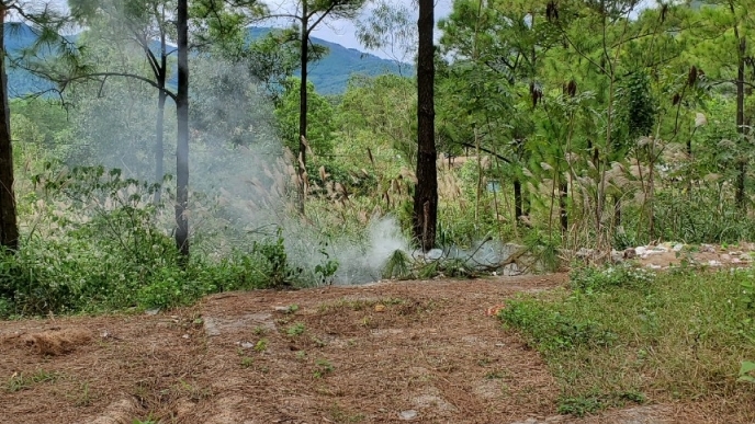 Quảng Ninh: Cháy rừng khiến 2 người tử vong