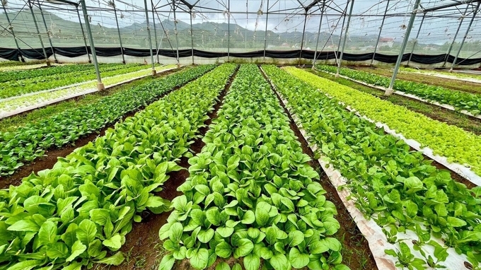 Khuyến khích phát triển nông nghiệp, nông thôn TP Hà Nội