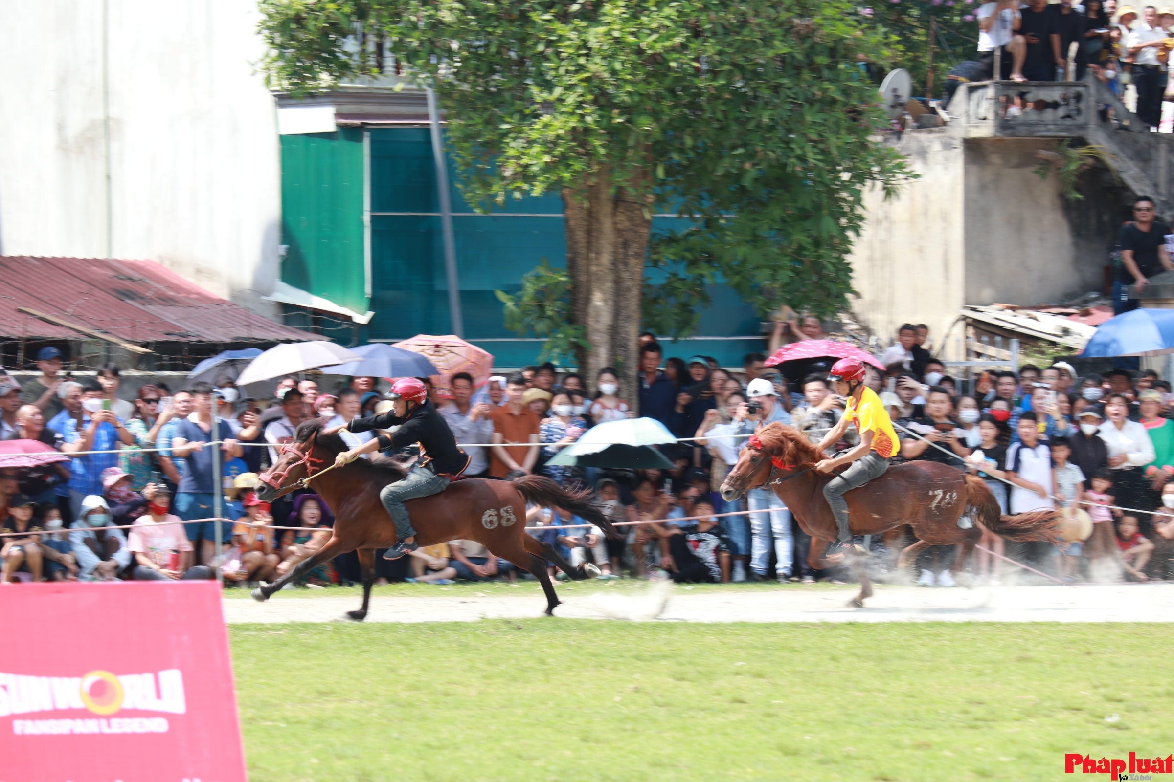 Kịch tính vòng chung kết lễ hội đua ngựa truyền thống Bắc Hà lần thứ 16