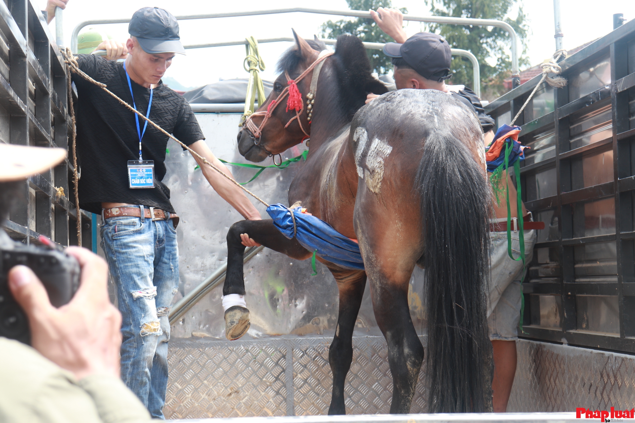Kịch tính vòng chung kết lễ hội đua ngựa truyền thống Bắc Hà lần thứ 16