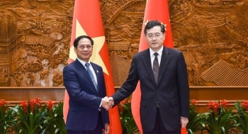 Bộ trưởng Ngoại giao Bùi Thanh Sơn gặp Ủy viên Quốc vụ, Bộ trưởng Ngoại giao Trung Quốc