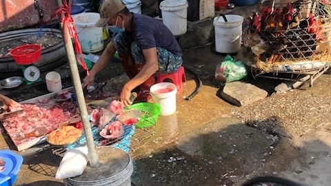 Nỗi lo thực phẩm “bẩn” từ các chợ dân sinh