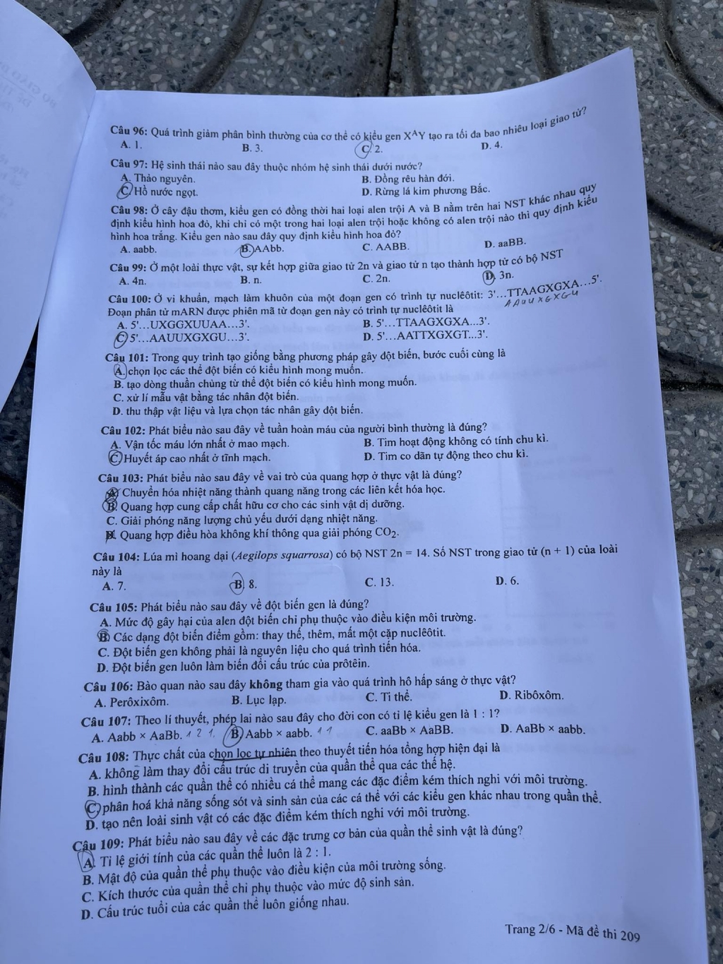 Đáp án môn Sinh học kỳ thi tốt nghiệp THPT 2023