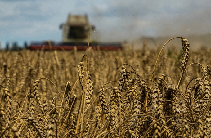 Nga đạt kỷ lục về xuất khẩu ngũ cốc trong niên vụ 2022 - 2023