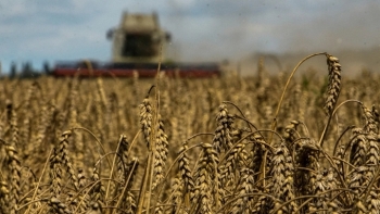 Nga đạt kỷ lục về xuất khẩu ngũ cốc trong niên vụ 2022 - 2023