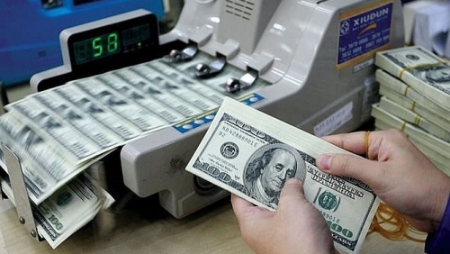 Tỷ giá USD hôm nay 12/7: Đồng đô la Mỹ tiếp tục giảm