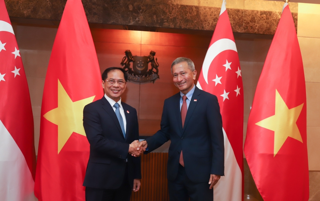 Bộ trưởng Ngoại giao Bùi Thanh Sơn hội đàm với Bộ trưởng Ngoại giao Singapore