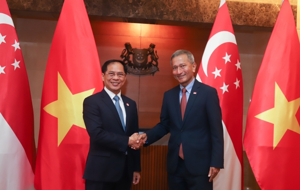 Bộ trưởng Ngoại giao Bùi Thanh Sơn hội đàm với Bộ trưởng Ngoại giao Singapore