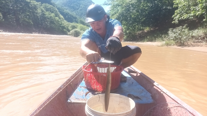 Những chuyến đi câu trên dòng sông Nậm Mộ thực sự là những trải nghiệm hết sức thích thú