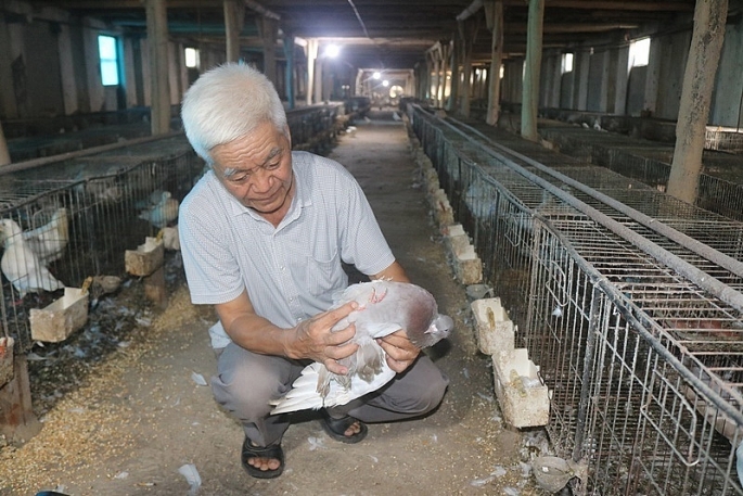 Hội Liên hiệp Phụ nữ thành phố tổ chức Liên hoan trực tuyến mô hình điển hình  làm kinh tế giỏi