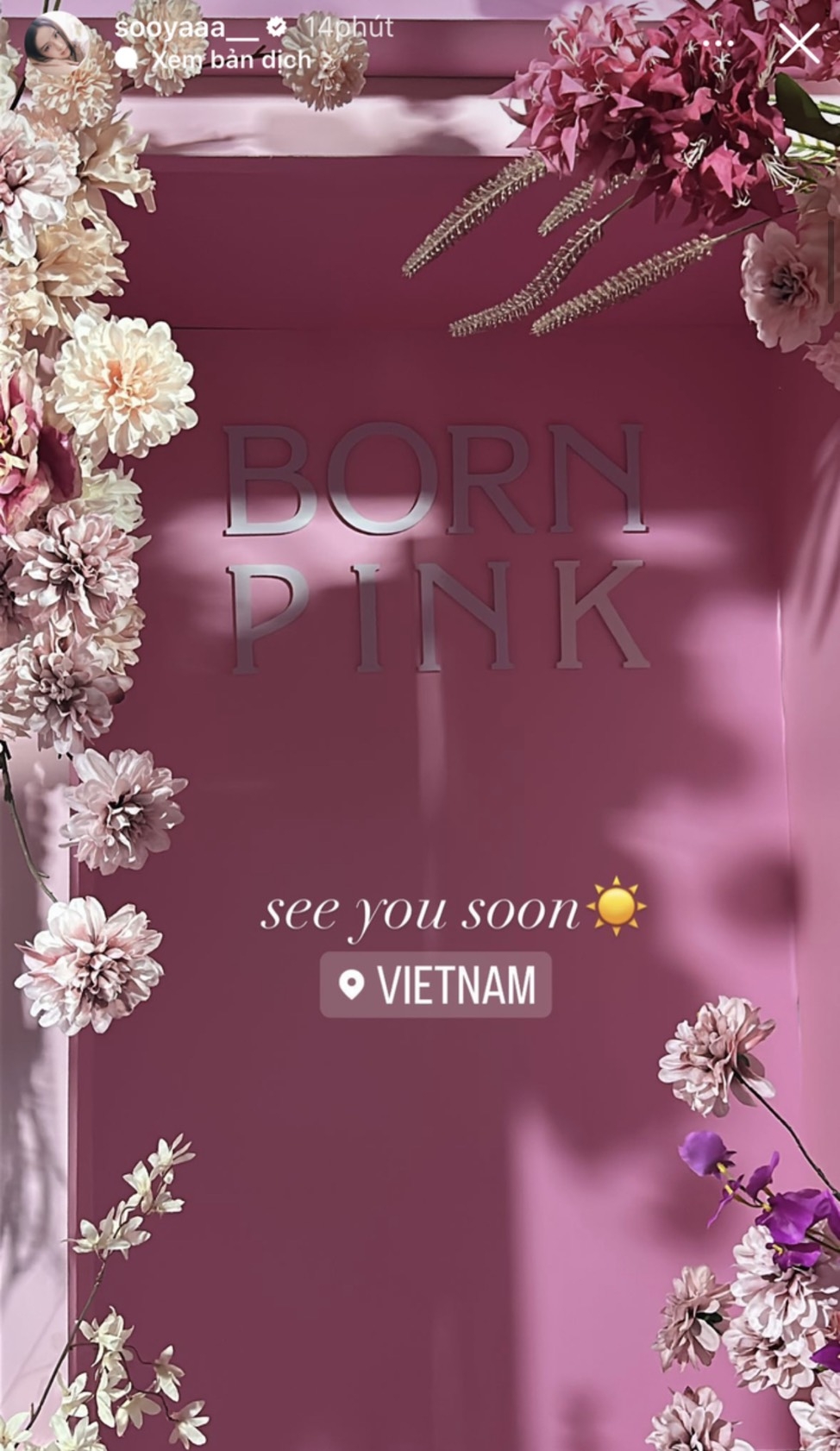 Rosé check in ở Hà Nội, hào hứng với lẵng hoa fan Việt tặng